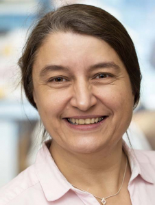 Prof. Dr. Carola Sauter-Louis, PhD