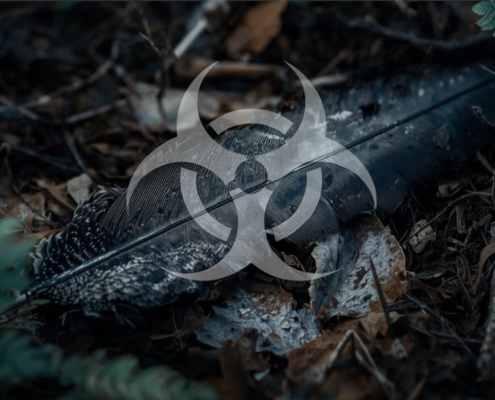 Podcast Folge 7: Die Vogelgrippe als Dauerbedrohung für freilebende Vögel Akademie für Jagd und Natur - Podcast Folge 7: Die Vogelgrippe als Dauerbedrohung für freilebende Vögel.